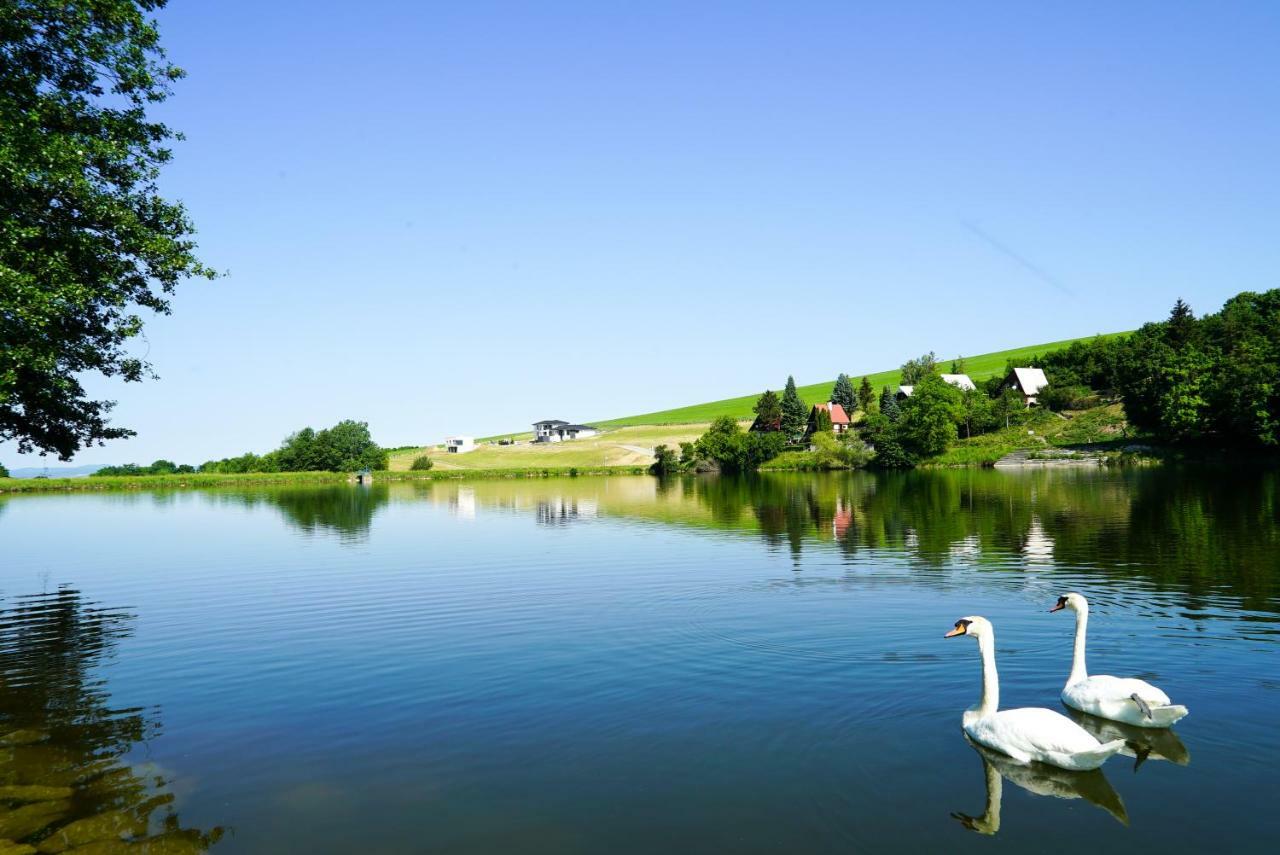 Moravany nad Váhom Luxury Villa מראה חיצוני תמונה
